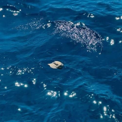 دانلود آهنگ جدید باز شد آخر هفته میریم با تو بعده افتر هرچی رو میزه رفته