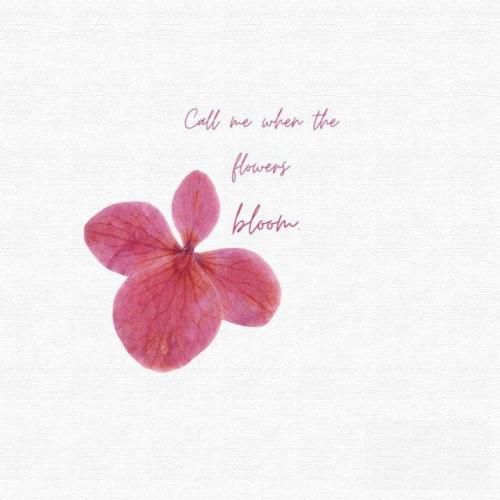 دانلود آهنگ جدید هر جا که میرم تو دل من مست تا که میشم