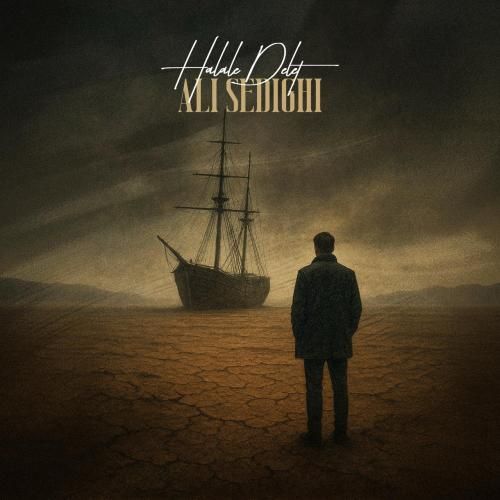 علی صدیقی حلال دلت