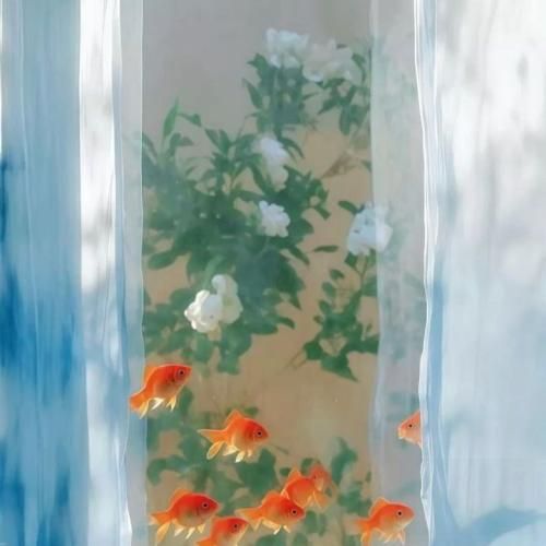  میرم پیش گرگا برا شام ریز بگو داداشام