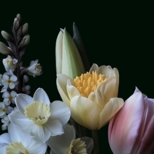 هنو شبا دلگیره ولی همدمت شرابت میشه