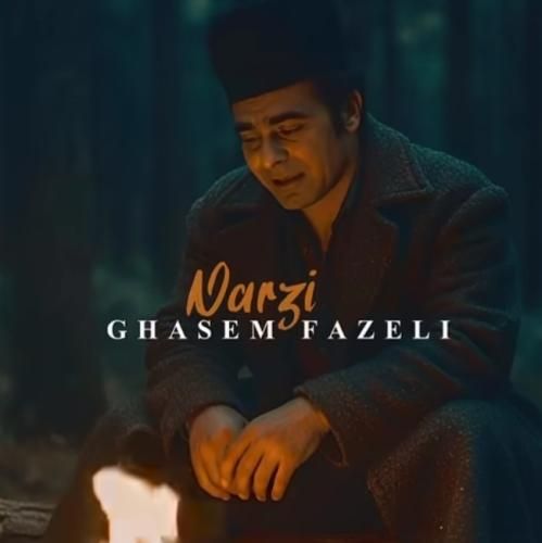 قاسم فاضلی نرزی