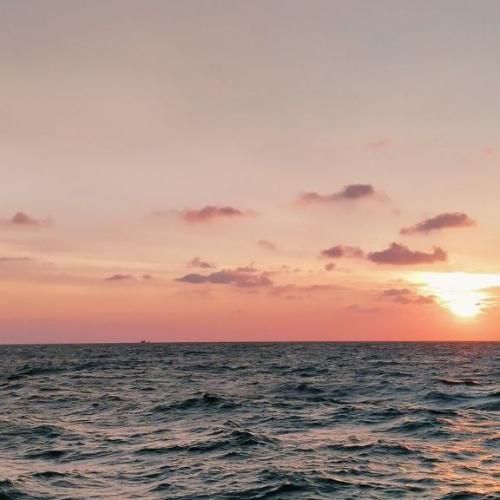 دانلود آهنگ جدید دل من یکم گله رو کم کن بچینم پلنو کن