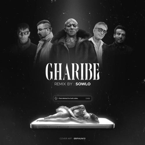 دانلود ریمیکس جدید غریبه از سلو