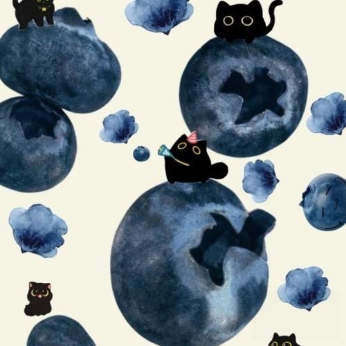 دانلود آهنگ جدید فیسش نچراله ولی سلیقمه کلا یک و شصت قدشه