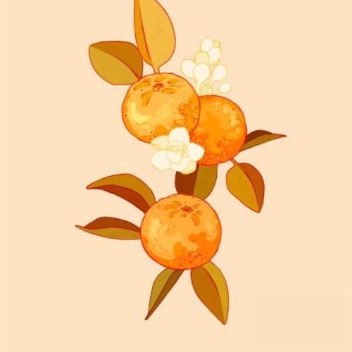 دانلود آهنگ جدید من لب پرتگاهم با چش بستم وقتی تنهام گذاشتی