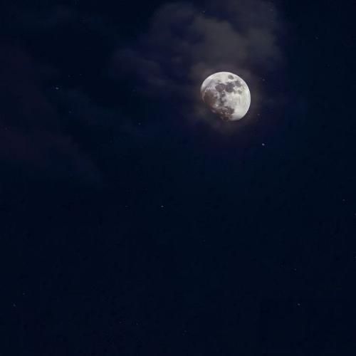  با یه چوب کبریت آتیش میزنم یه جنگلو برات