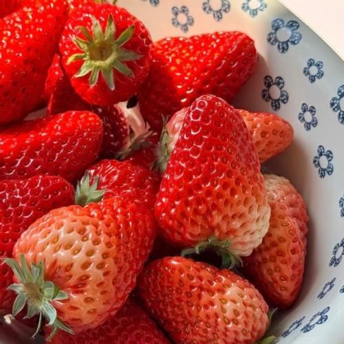 دانلود آهنگ جدید منم مث تو زندگیم پر از غصه درست