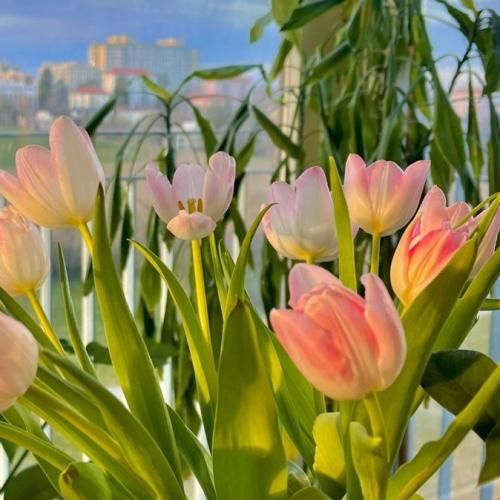 دانلود آهنگ جدید من دلم نمیخواست ولی دست مه هیچ نمک ناره