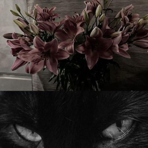 شده بودی خون تو رگام میدادم اگه بم میگفتی بده جونتو