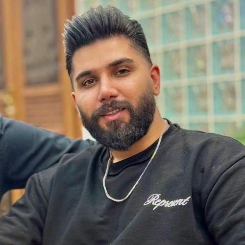 مجید احمدی دل