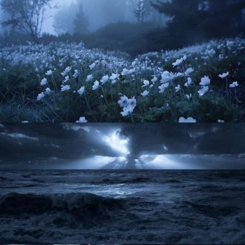 تو نگاهم به غیر تو کسی زیبا نمیشه