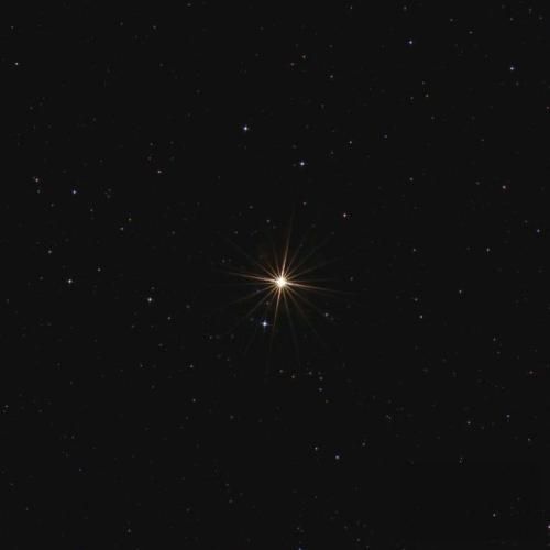 من سرم سر یعنی از کل وجودم حس رفته