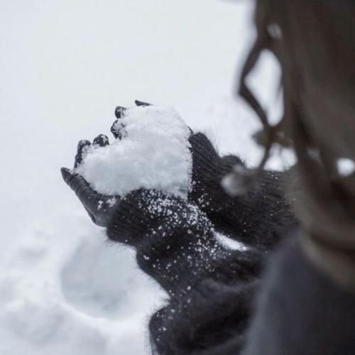 تو که ترسو تو دلت کشتیش دیدی بهت گفتم