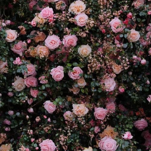 دانلود آهنگ جدید تا دست یافتن رو اسب تاختن کاخ هارو سوزوندن