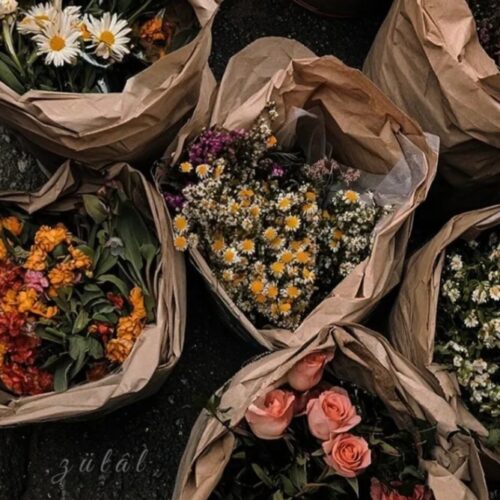 آرشیو کامل آهنگ های عربی ترند اینستا با صدای زنآرشیو کامل آهنگ های عربی ترند اینستا با صدای زن